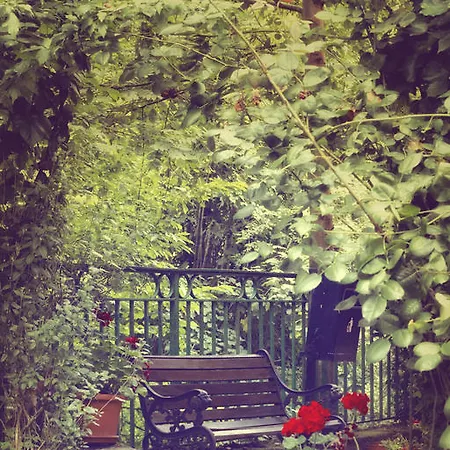 فندق Rural El Molino 2*